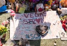 Mass Shootings: Quick Actions for Survival