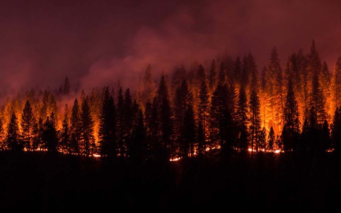 Stay Cool When Wildfires Threaten