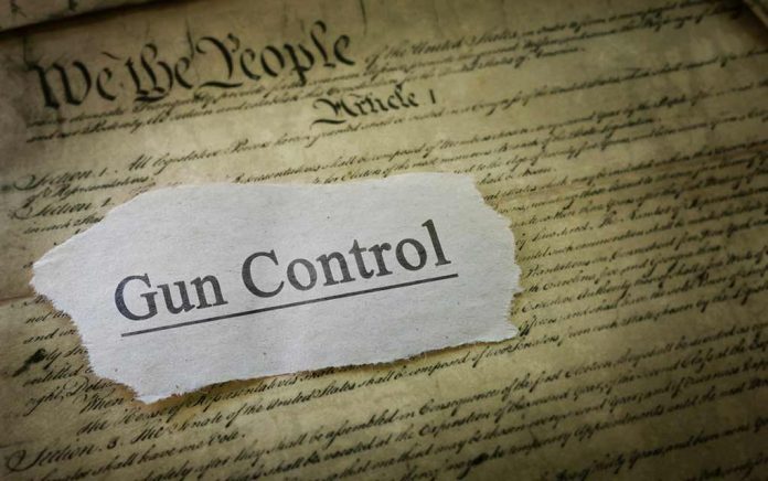 ALERT! Dire Warning for Gun Rights Advocates