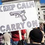 Smaller Than Usual Annual Gun Right Rally