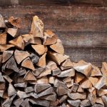 Dried or Seasoned Firewood - Does it Matter?