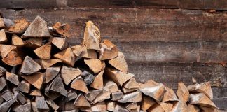 Dried or Seasoned Firewood - Does it Matter?