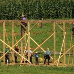 Self Sufficiency: Learning From the Amish