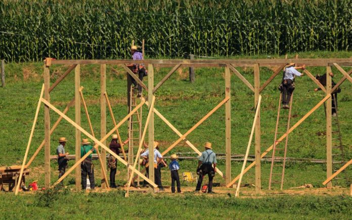 Self Sufficiency: Learning From the Amish