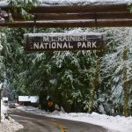 Hiker Swallowed Up By Another National Park