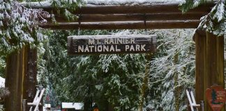 Hiker Swallowed Up By Another National Park