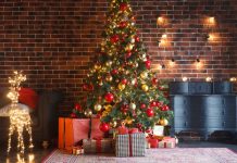 Importance of Christmas Tree Safety