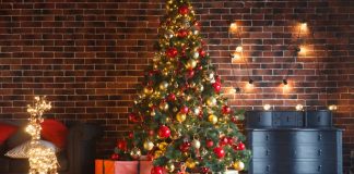 Importance of Christmas Tree Safety