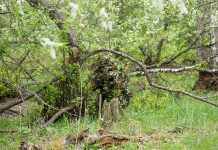 Camouflage Tactics Every Prepper Should Know