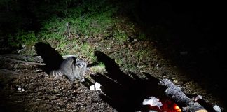 Camp Food...How to Avoid Sharing With Critters