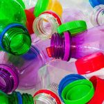 Plastic Bottles: Most Useful Trash You’ll Find