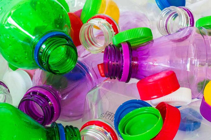 Plastic Bottles: Most Useful Trash You’ll Find