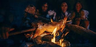 Stone Age Survival Cooking