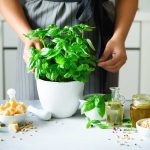 4 Uses for Basil Beyond Cooking
