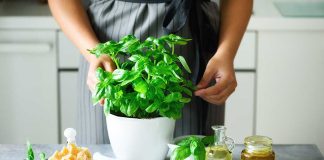 4 Uses for Basil Beyond Cooking