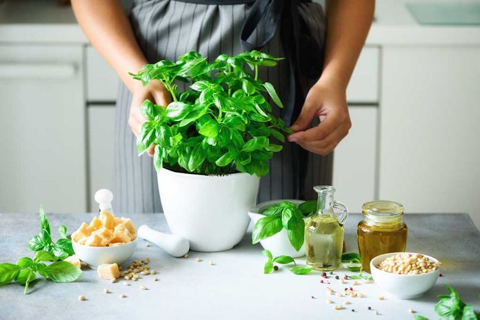 4 Uses for Basil Beyond Cooking