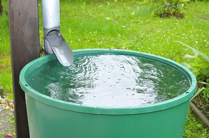 Don't Trash That Rain Barrel Idea Just Yet