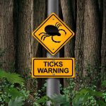 What You Might Not Know About Ticks - And Why it Matters