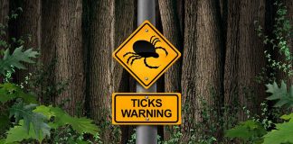 What You Might Not Know About Ticks - And Why it Matters