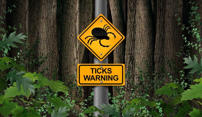 What You Might Not Know About Ticks - And Why it Matters