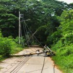 What to Do When Facing a Downed Power Line