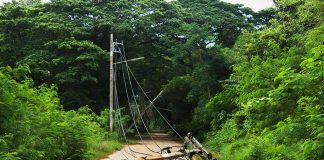 What to Do When Facing a Downed Power Line