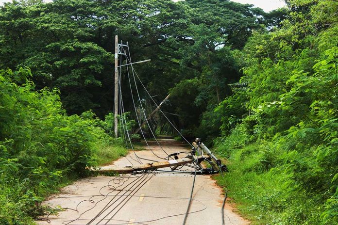 What to Do When Facing a Downed Power Line