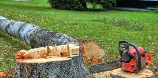 Guide to Safe Tree Felling