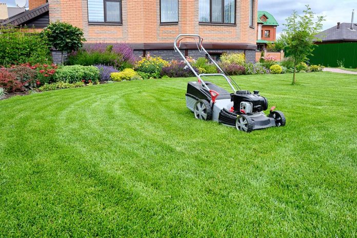 9 Safety Tips for Lawn Mowers