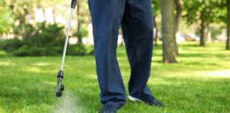 Hidden Dangers of Lawn Care