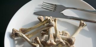 Why You Should Never Throw Out Animal Bones